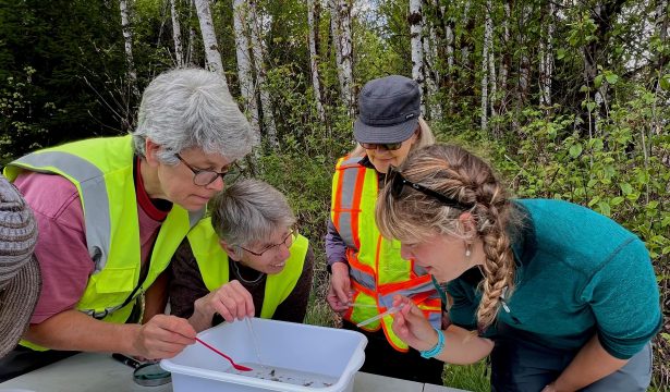 Benthic Invertebrate Surveying Launched