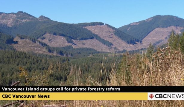 CBC Video & Article on Private Managed Forest Land Act