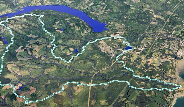 Trent River Watershed Cumulative Effects Assessment – 2025