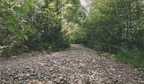 Drought Monitoring – Local Streams in Summer