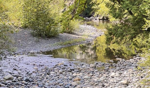 Flow Regatta: BC Conservation Foundation