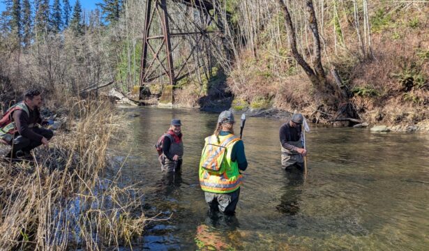 Funding Success!  A Spotlight Shines on Annie Creek